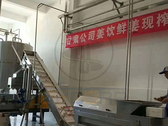 商用工業級大型午夜性爱福利生薑榨汁機